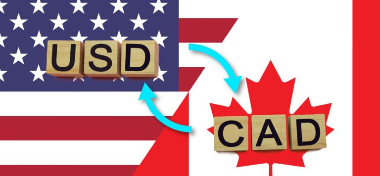 Discover the currency converter USD to Canadian dollars